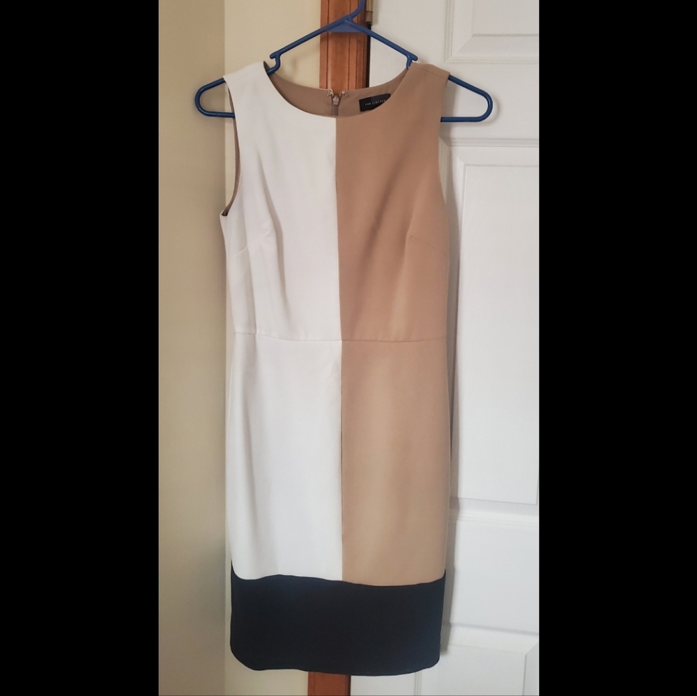 The Limited Beige & White Dress